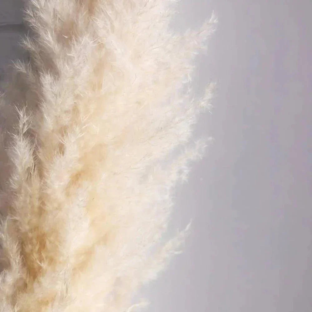 Dried Pampas Grass Bouquet | Boho Home Decor Accent