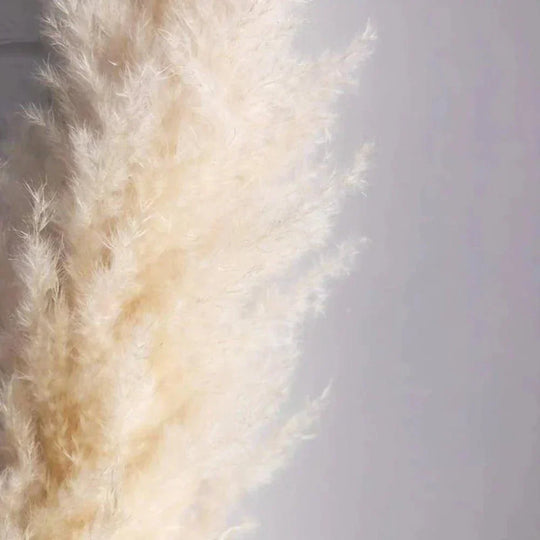 Dried Pampas Grass Bouquet | Boho Home Decor Accent