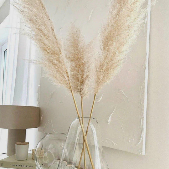 Dried Pampas Grass Bouquet | Boho Home Decor Accent