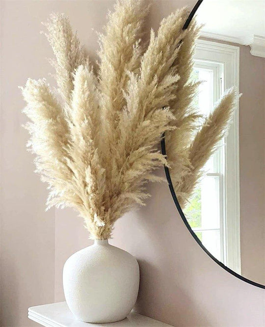 Dried Pampas Grass Bouquet | Boho Home Decor Accent