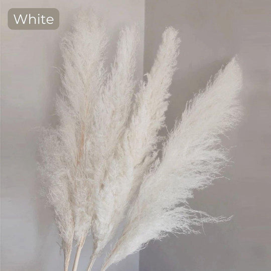 Dried Pampas Grass Bouquet | Boho Home Decor Accent