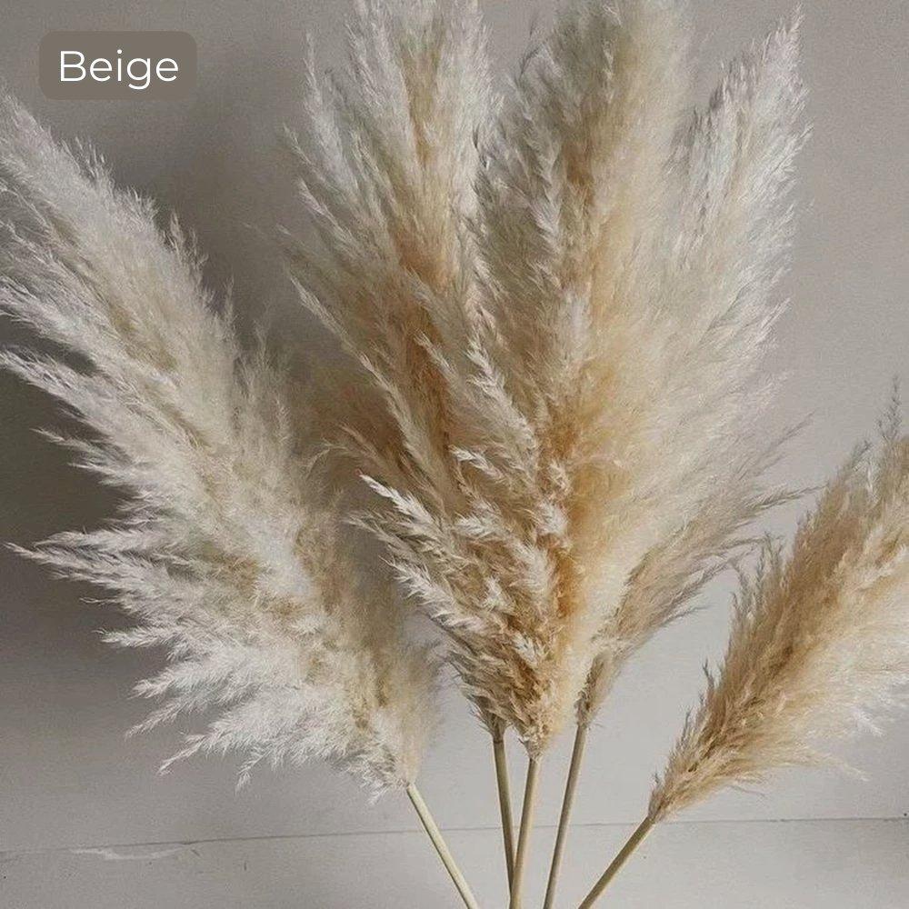 Dried Pampas Grass Bouquet | Boho Home Decor Accent