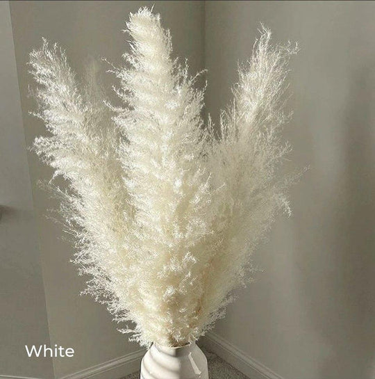 Dried Pampas Grass Bouquet | Boho Home Decor Accent