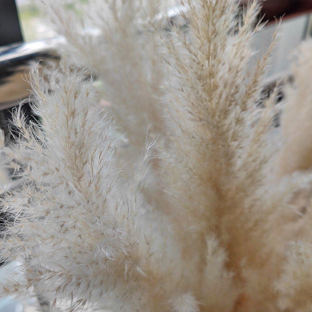 Dried Pampas Grass Bouquet | Boho Home Decor Accent