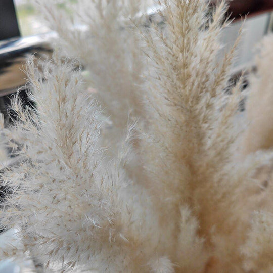 Dried Pampas Grass Bouquet | Boho Home Decor Accent
