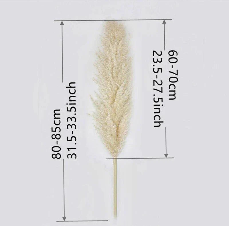 Dried Pampas Grass Bouquet | Boho Home Decor Accent