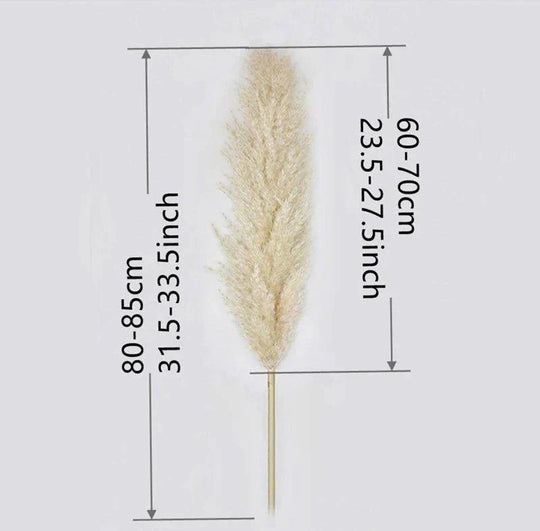 Dried Pampas Grass Bouquet | Boho Home Decor Accent