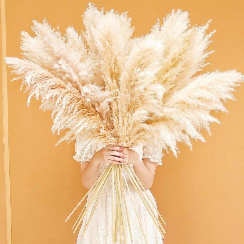 Dried Pampas Grass Bouquet | Boho Home Decor Accent