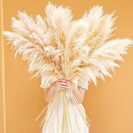 Dried Pampas Grass Bouquet | Boho Home Decor Accent