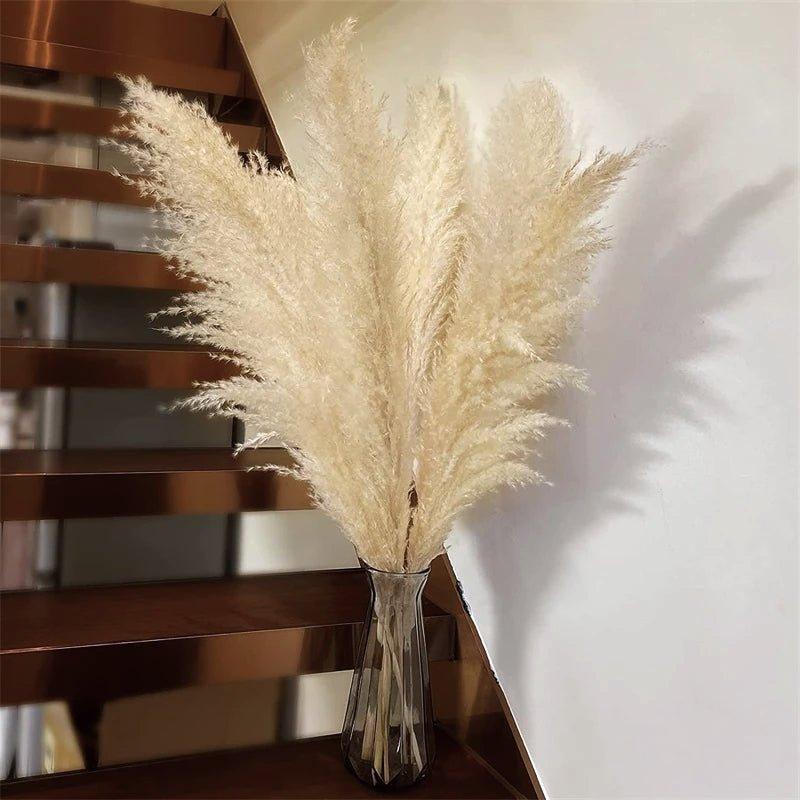 Dried Pampas Grass Bouquet | Boho Home Decor Accent