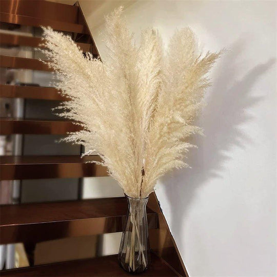 Dried Pampas Grass Bouquet | Boho Home Decor Accent