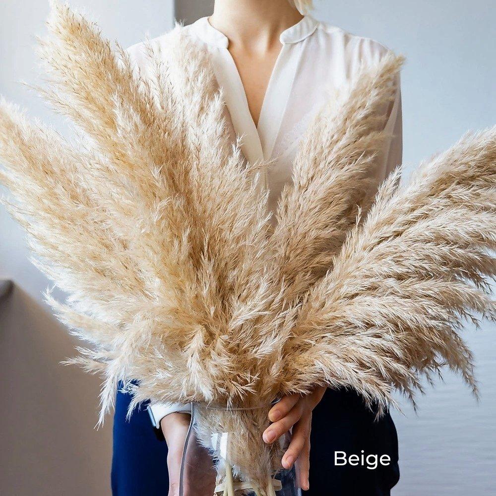 Dried Pampas Grass Bouquet | Boho Home Decor Accent